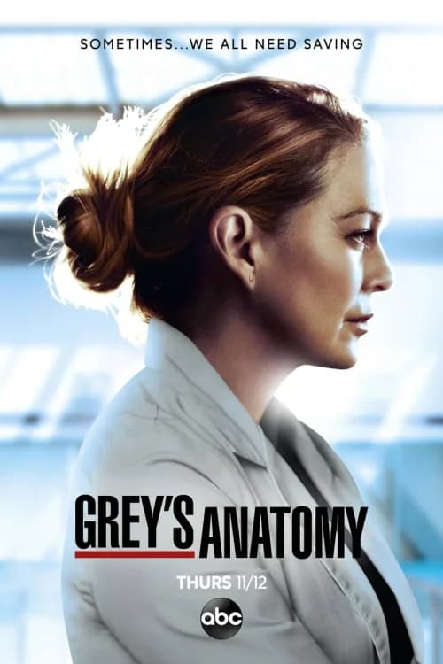 Poster 13